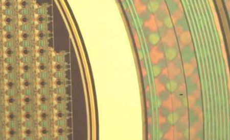 公共娱乐 -(中国)官方网站